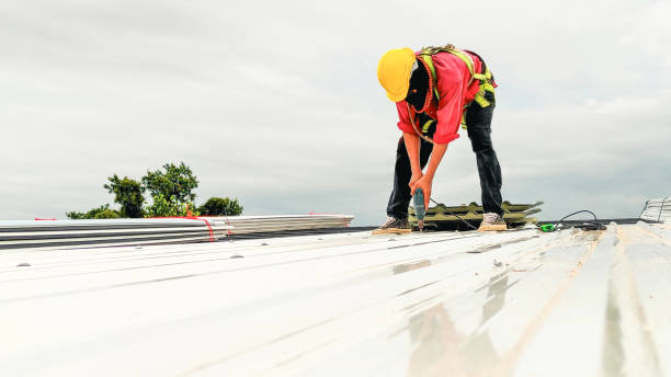 Best Steel Roofing  in Audubon Park, NJ